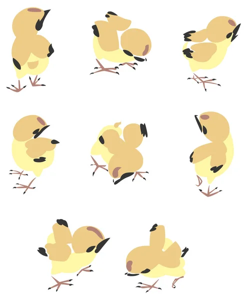 Desenho Animado Ilustração Pequenos Pássaros Bonitos —  Vetores de Stock