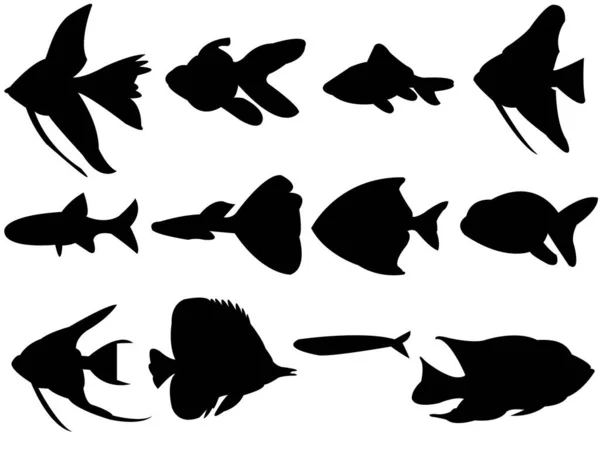 白底鱼的矢量图解 — 图库矢量图片