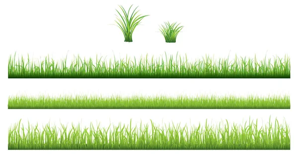 Groen Gras Instellen Geïsoleerd Witte Achtergrond — Stockvector