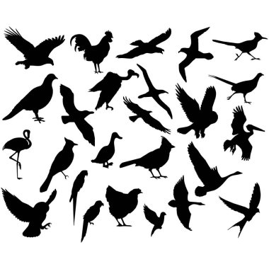 Gökyüzündeki kuş sürüsünün vektör çizimi