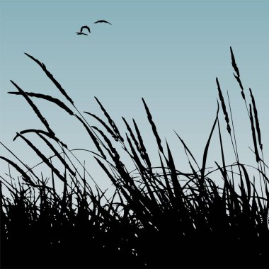 arkaplanda çim alan siluetleri