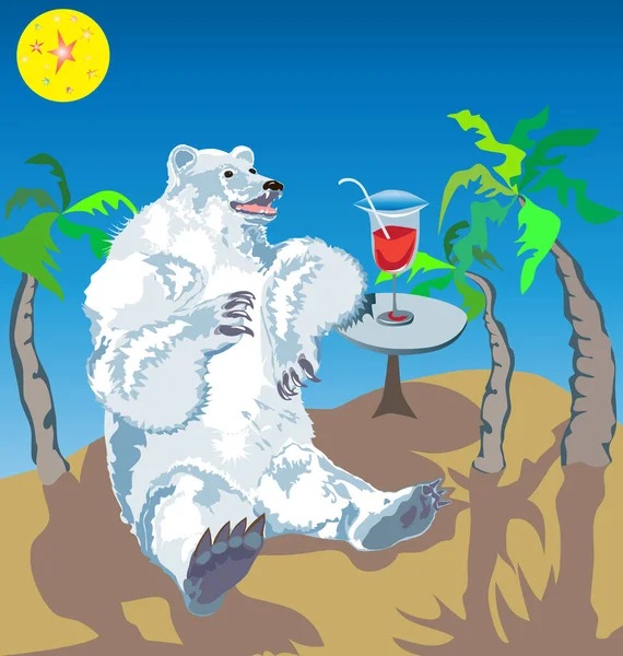 Білий Ведмідь Пляжі Векторні Ілюстрації — стоковий вектор