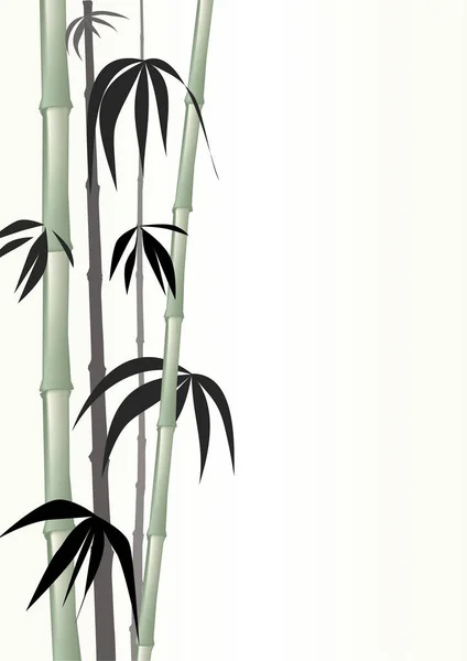 Bambus Zielonymi Liśćmi Wektor Ilustracja — Wektor stockowy
