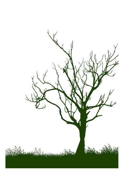 Imagem Vetorial Com Árvore —  Vetores de Stock