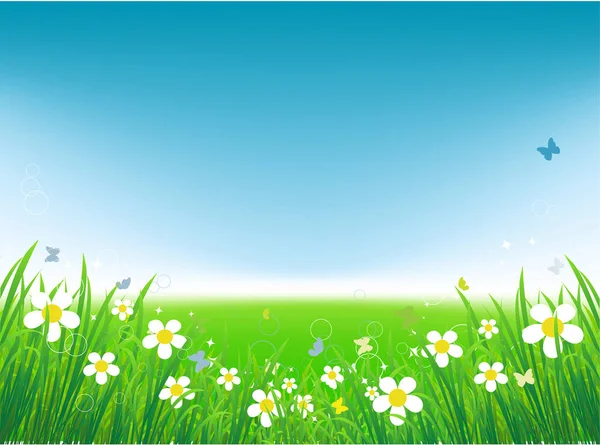 Fleurs Printemps Fond Herbe Prairie Herbe — Image vectorielle
