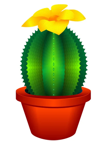 Illustration Green Cactus — Stock Vector