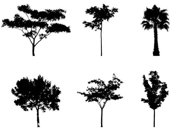 Uppsättning Silhuettträd — Stock vektor