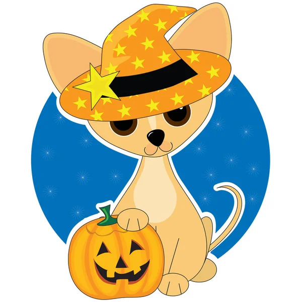 Halloween Γάτα Κολοκύθα Και Αστέρια — Διανυσματικό Αρχείο