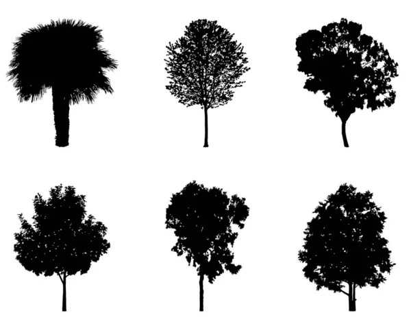 Träd Silhuett Som Vit Bakgrund — Stock vektor