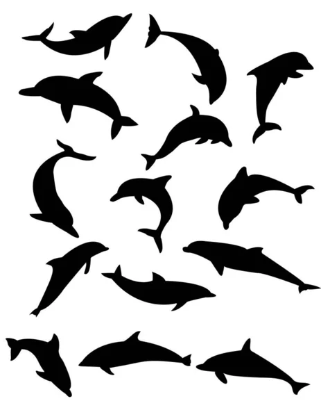 Reihe Von Delphinen Silhouetten Schwarze Silhouetten Von Delfinen Vektor Illustration — Stockvektor