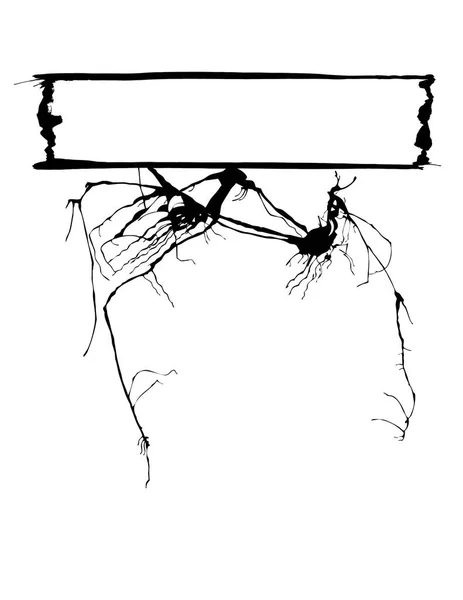 Vektorové Ilustrace Větve Stromu — Stockový vektor