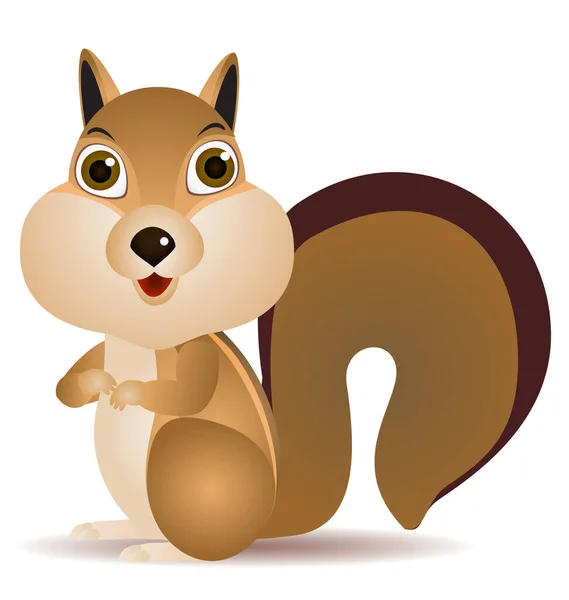 Illustration Von Niedlichen Eichhörnchen Karikatur — Stockvektor