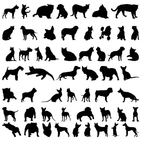 Набір Собачих Котячих Силуетів Векторний — стоковий вектор