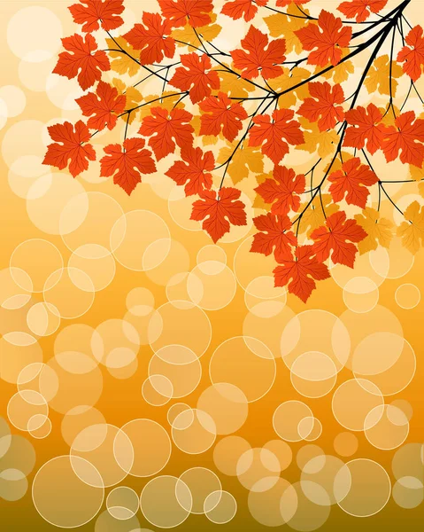 Ahorn Blätter Herbst Hintergrund — Stockvektor