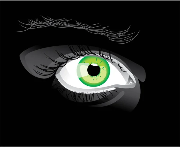 Векторная Иллюстрация Красивого Глаза — стоковый вектор