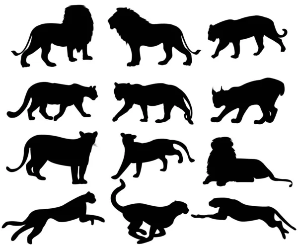 Σιλουέτα Λιονταριών Και Τίγρεων Εικονογράφηση Διανύσματος — Διανυσματικό Αρχείο