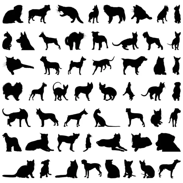 Векторный Набор Силуэтов Различных Домашних Животных — стоковый вектор