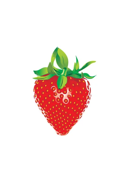Vektor Ilustrasi Strawberry - Stok Vektor
