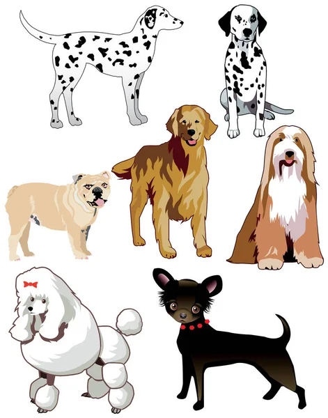 Vector Illustration Dogs Puppies Isolated — Stock Vector