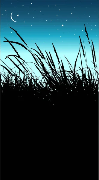 草のフィールドのベクトルイラスト — ストックベクタ