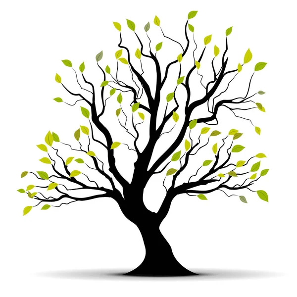 Vektorbild Baum Mit Blättern — Stockvektor
