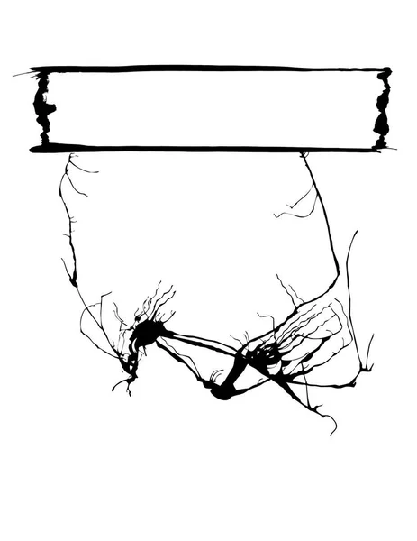 Vektorová Ilustrace Náčrtku Větve — Stockový vektor