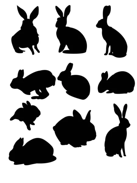 Vector Conjunto Siluetas Negras Varios Conejos — Vector de stock