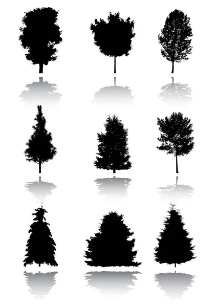 Wektorowy Zestaw Drzew Czarne Drzewa — Wektor stockowy