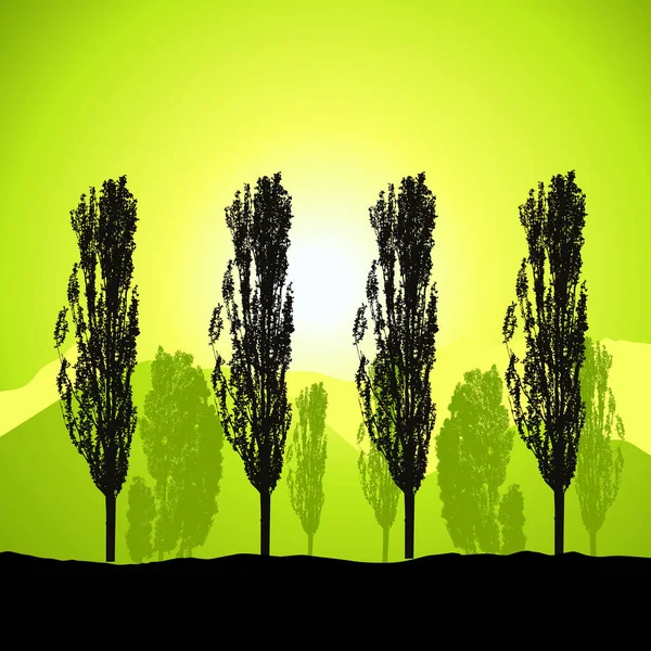 Groen Gras Een Achtergrond Van Bomen Zonsondergang — Stockvector