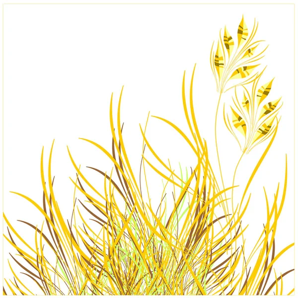 白色背景的金黄色草地 — 图库矢量图片