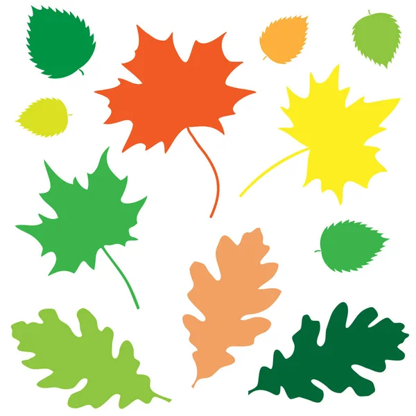 秋天的叶子矢量说明 — 图库矢量图片