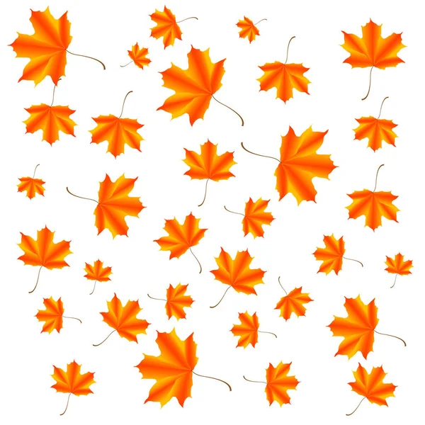 Herbst Ahorn Blätter Vektor Illustration Design — Stockvektor