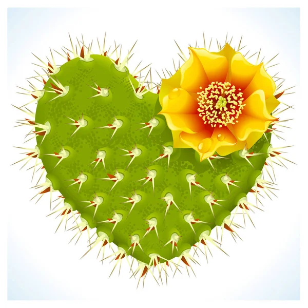 Heart Shaped Cactus Flower Vector Illustration — Stock Vector