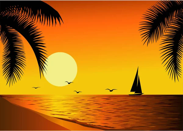 Vector Illustration Beautiful Sunset — Stock Vector