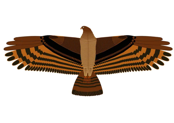 Diseño Vector Águila Aislada — Archivo Imágenes Vectoriales