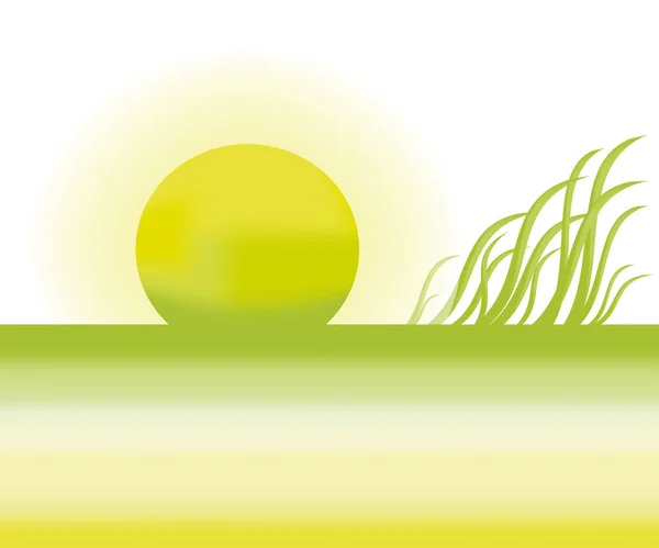 Жовтий Захід Сонця Полі Векторні Ілюстрації Простий Дизайн — стоковий вектор