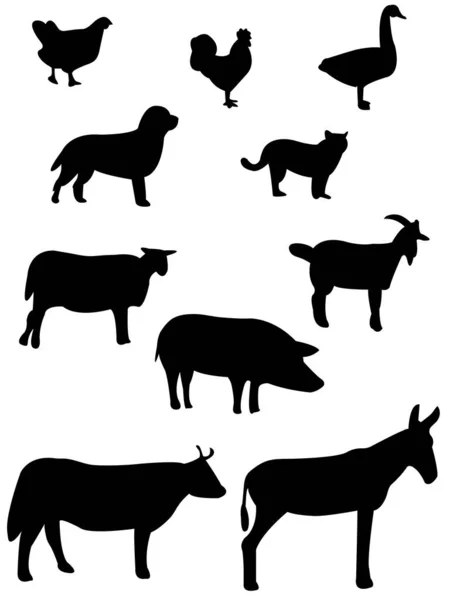 Conjunto Animales Ilustración Silueta Vectorial — Vector de stock
