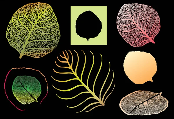 Tropical Leaf Vector Illustration — Stock Vector