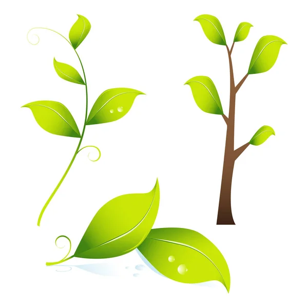 Green Leaves White Background — Stock Vector