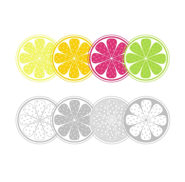 Conjunto Frutas Coloridas Cortadas —  Vetores de Stock