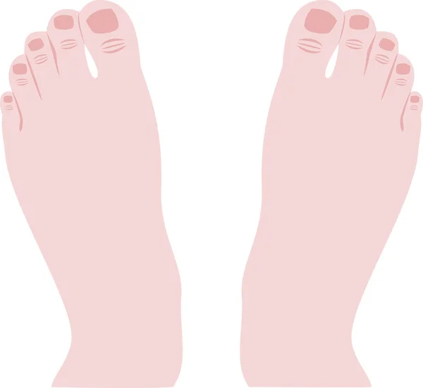 Female Feet Isolated White Background — Stock Vector