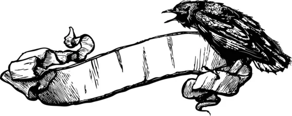 Vektorillustration Eines Handgezeichneten Vogels Mit Einer Alten Papierrolle — Stockvektor