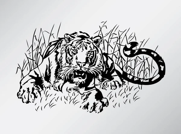 Тигр Траві Векторні Ілюстрації — стоковий вектор