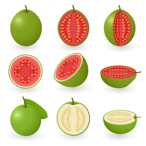 Ilustración Vectores Fruta — Vector de stock