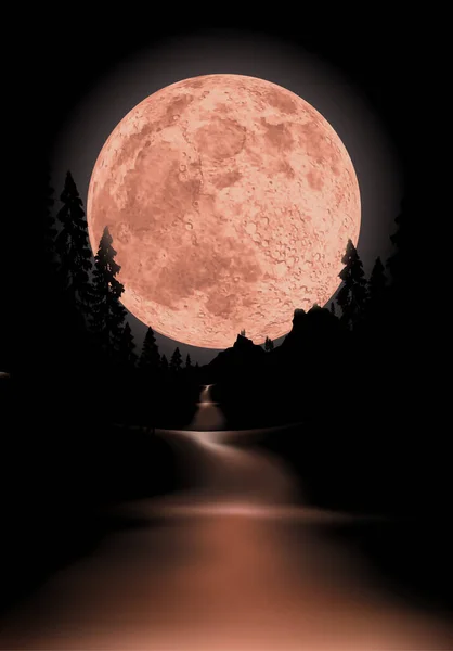 Luna Llena Cielo Nocturno Vector Ilustración — Archivo Imágenes Vectoriales