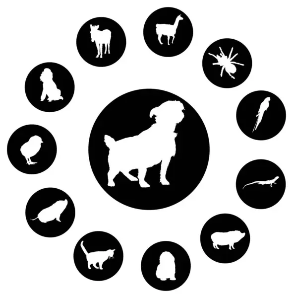 Animales Iconos Set Vector Ilustración — Vector de stock