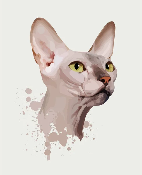 矢量插图 猫肖像画 — 图库矢量图片
