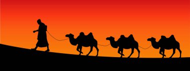 vektör resimleme dijital şablonu