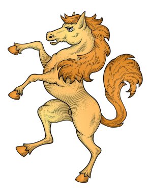 at karikatür vektör çizim