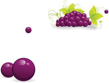 vektör taze kiraz meyvesi